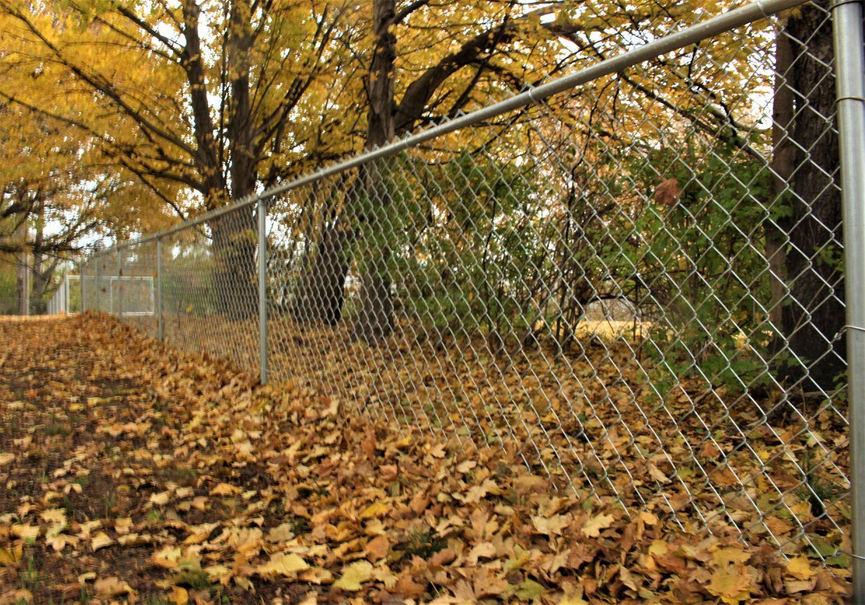 Photo of a chain link fence installed by a Owensboro Kentucky fence company